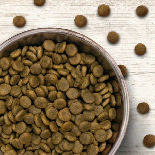 Wildborn Active Highlands