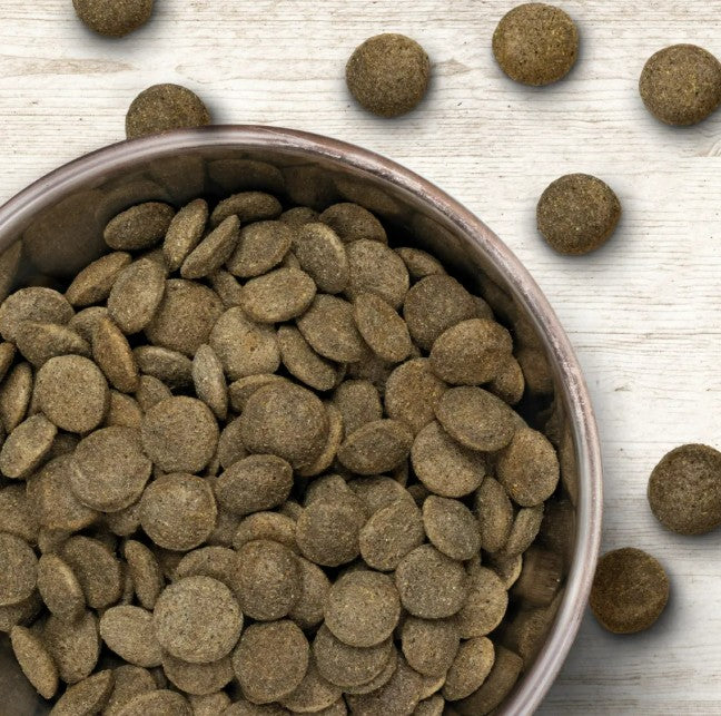 Wildborn African Outback