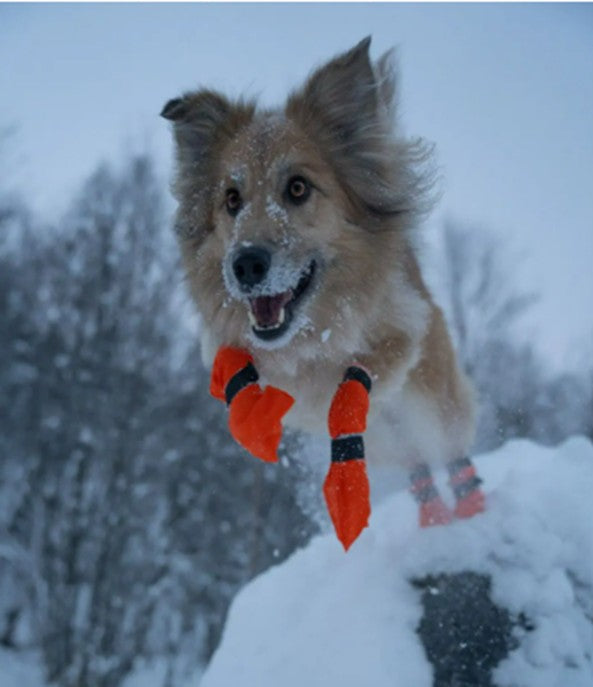 Non-Stop Contact booties high