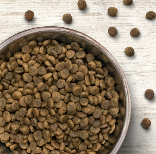 Wildborn Ente & Kartoffel Junior