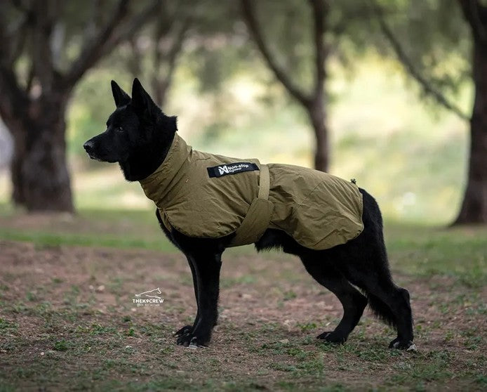 Non-Stop Glacier dog jacket WD