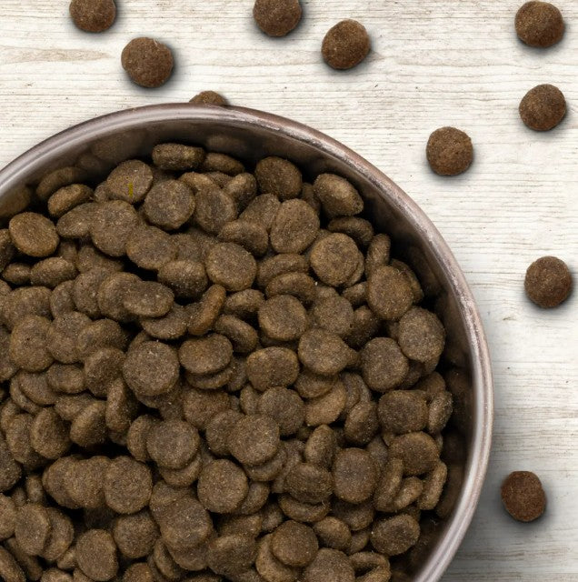 Wildborn Meadow Lamb