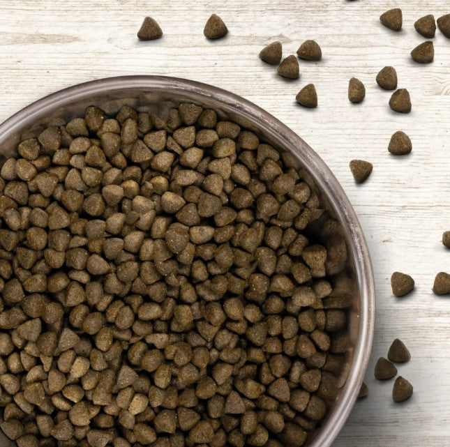 Wildborn Natural Puppy