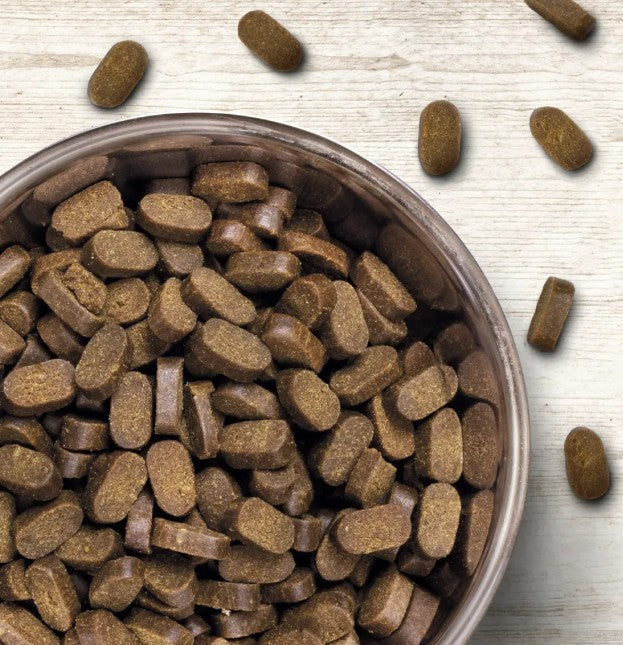 Wildborn Soft Jewel Maxi