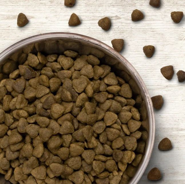 Wildborn Wild Mustang