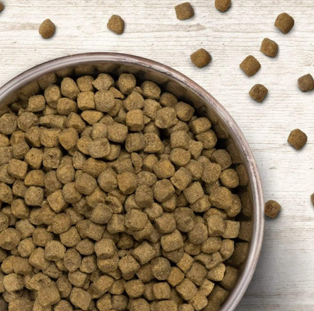 Wildborn Wild Turkey