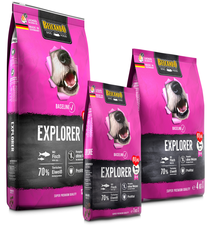 Belcando Baseline Explorer