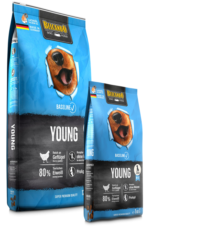 Belcando Baseline Young