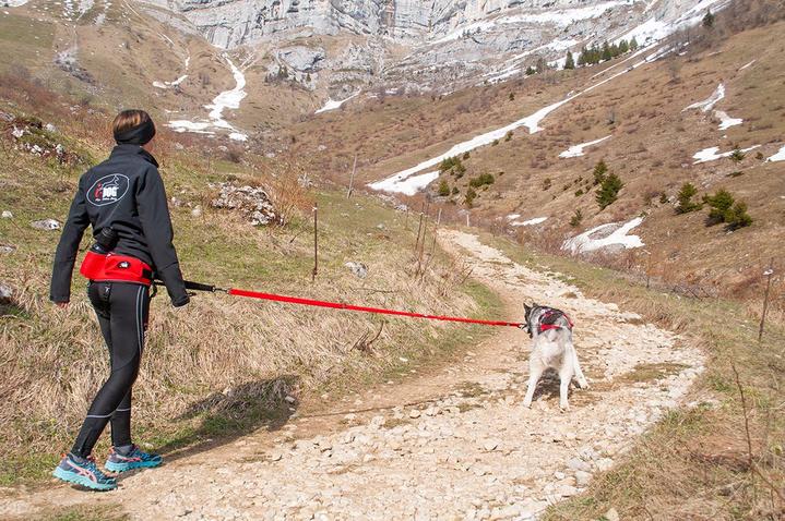 Longe I-Dog Confort Trek
