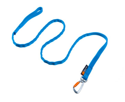 Non-Stop Bungee Leash