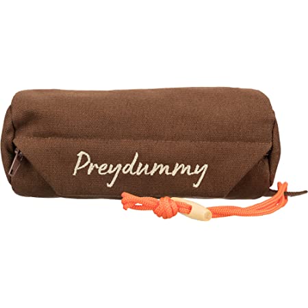 Preydummy