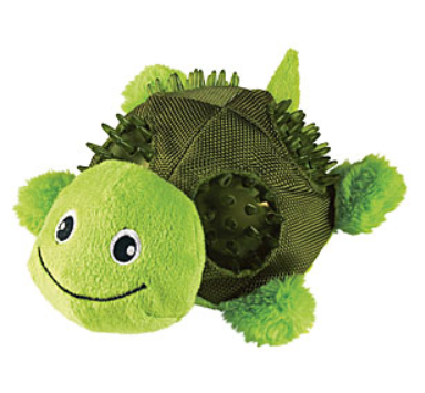 Kong Turtle